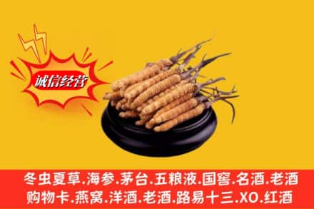 新建区求购回收虫草多少钱每克